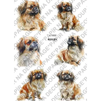 Umělecký papír Rýžový a soft papír na decoupage - Pes - KB01600 Materiál: Soft, Rozměr: A4