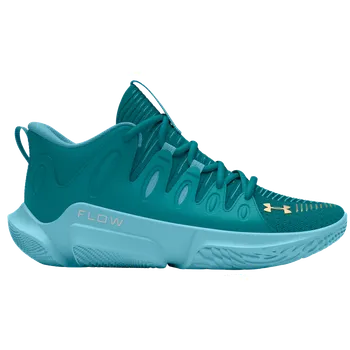 Dámské tenisky Basketbalové boty Under Armour UA W FLOW BREAKTHRU 4 3026641-301 Velikost 46 EU | 11 UK | 13,5 US | 30 CM