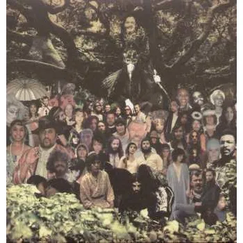 Zahraniční hudba 2LP Devendra Banhart: Cripple Crow 2018