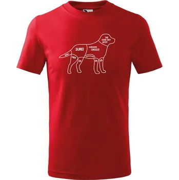 Dětská móda DOBRÝ TRIKO Dětské tričko s potiskem Kde drbat psa Velikost: 146/10 let, Barva: Červená