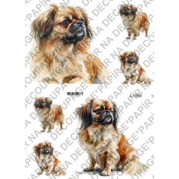 Umělecký papír Rýžový a soft papír na decoupage - Pes - KB01598 Materiál: Soft, Rozměr: A4