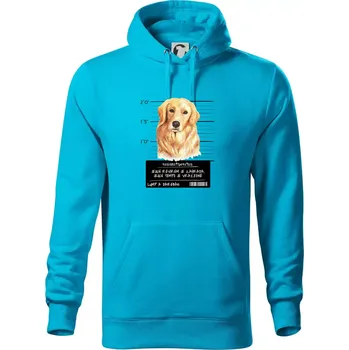 Pánská mikina Lump a darebák zlatý retrívr - Mikina pánská Cape s kapucí - 5XL ( Světlý tyrkys )