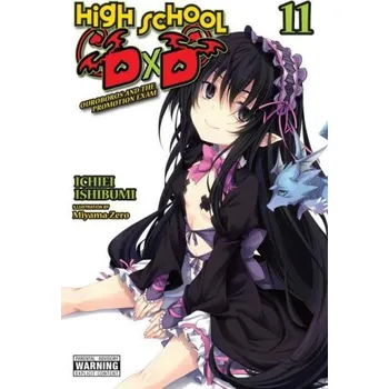 Komiks pro dospělé High School DxD, Vol. 11 (light novel) (Ichiei Ishibumi)(Brožovaná)