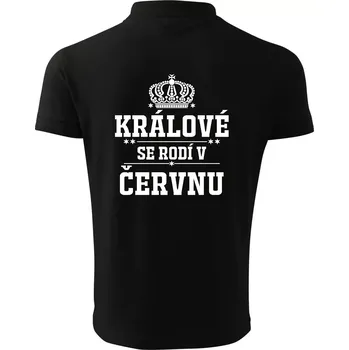 Pánská košile Králové se rodí v červnu - Polokošile pánská Pique Polo 203 - 3XL ( Černá )