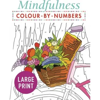 Český jazyk Mindfulness Colour-by-Numbers Large Print (PUBLISHING ARCTURUS)(Brožovaná)