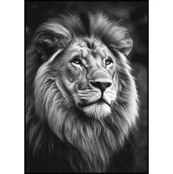Plakát Jen tak z lásky Plakát Portrét lva II. Rozměr plakátu: 50 x 70 cm