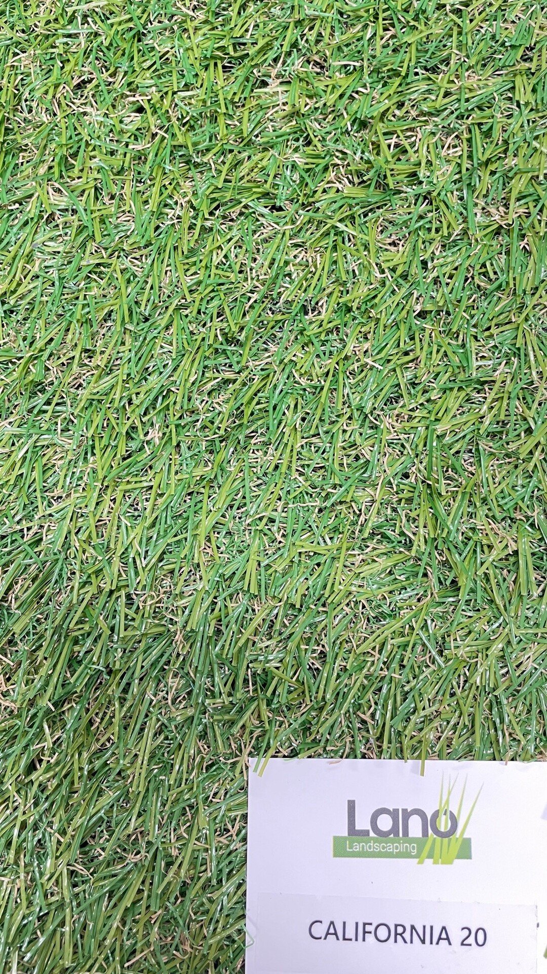 Travní koberec EASY CALIFORNIA 20