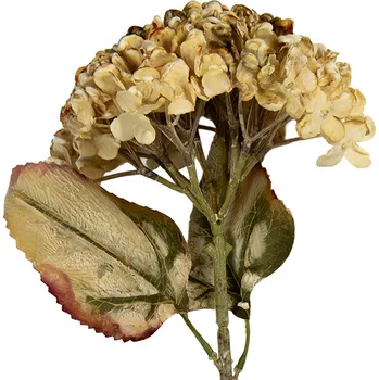 umělá květina Clayre & Eef - Umělá květina 6PL0404BE