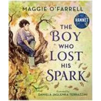 Učebnice Boy Who Lost His Spark (Daniela Jaglenka Terrazzini)(Pevná)