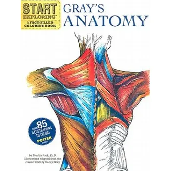 Cizojazyčná kniha Start Exploring: Gray's Anatomy (Freddy Stark)(Brožovaná)