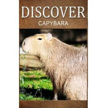 Kniha Capybara - Discover: Early reader's wildlife photography book (Discover Press)(Brožovaná)