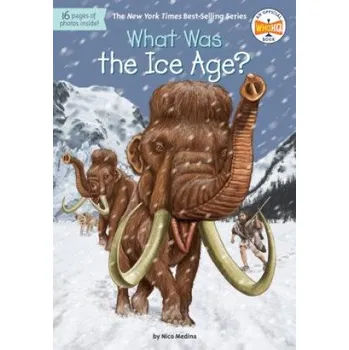 Cizojazyčná kniha What Was the Ice Age? (Nico Medina,David Groff)(Brožovaná)