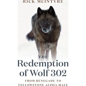 Cizojazyčná kniha The Redemption of Wolf 302: From Renegade to Yellowstone Alpha Male (Brožovaná)