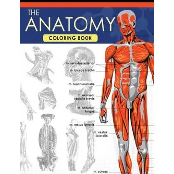 Kniha The Anatomy Coloring Book: A Complete Study Guide (9th Edition) (Dr Jessica C Flynn)(Brožovaná)