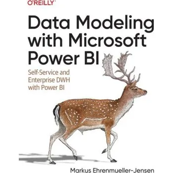 Technika Data Modeling with Microsoft Power Bi (Brožovaná)
