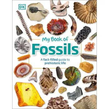 Příroda My Book of Fossils (DK)(Pevná)