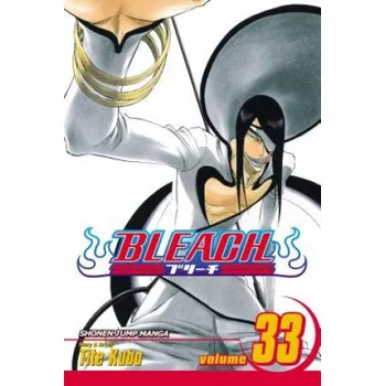 Bleach, Vol. 33 (Tite Kubo)(Brožovaná)