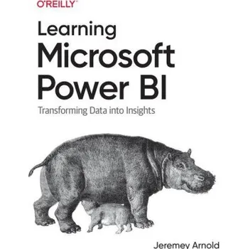 Technika Learning Microsoft Power Bi (Brožovaná)