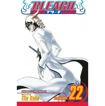 Bleach, Vol. 22 (Tite Kubo)(Brožovaná)
