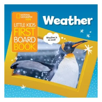První čtění Little Kids First Board Book Weather (Ruth Musgrave)(Leporelo)