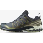 Salomon XA Pro 3D V9 GTX M L47823000