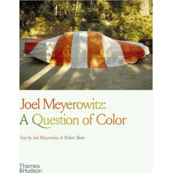 Cizojazyčná kniha Joel Meyerowitz: A Question of Colour (Joel Meyerowitz)(Brožovaná)