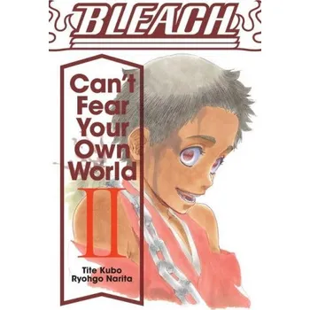 Bleach: Can't Fear Your Own World, Vol. 2 (Tite Kubo)(Brožovaná)