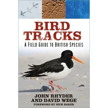 Cestování Bird Tracks (John Rhyder,David Wege)(Brožovaná)