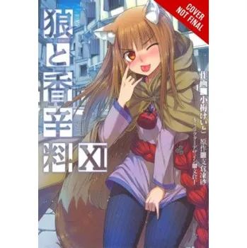 Cizojazyčná kniha Spice and Wolf, Vol. 11 (light novel) (Isuna Hasekura)(Brožovaná)