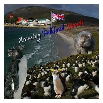 Učebnice Amazing Falkland Islands (Naira Matevosyan)(Brožovaná)