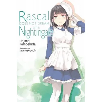 Cizojazyčná kniha Rascal Does Not Dream, Vol. 11 (light novel) (Hajime Kamoshida)(Brožovaná)