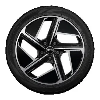 Zimní osobní pneu Audi zimní kompletní kolo 9 x 20" 5/130/54 & HA: 11 x 20" e-tron GT/ RS e-tron GT