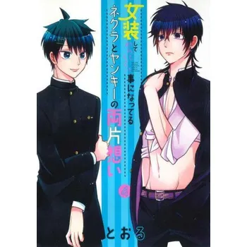 Komiks pro dospělé Crossplay Love: Otaku x Punk Vol. 4 (Brožovaná)