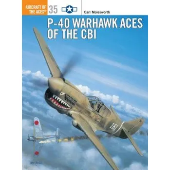 Cizojazyčná kniha P-40 Warhawk Aces of the CBI (Carl Molesworth)(Brožovaná)
