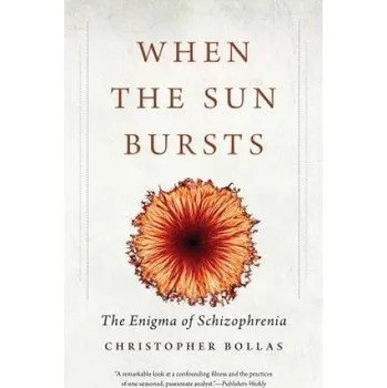Cizojazyčná kniha When the Sun Bursts (Christopher Bollas)(Brožovaná)