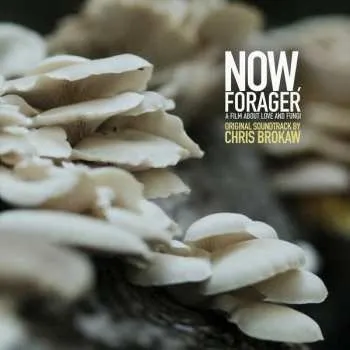 Zahraniční hudba LP Chris Brokaw: Now, Forager (Original Soundtrack) LTD 2014 Limited Edition Vinyl