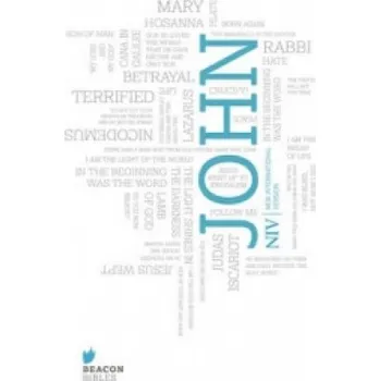 Cizojazyčná kniha NIV Gospel of John (New International Version)(Brožovaná)