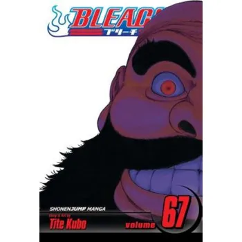 Bleach, Vol. 67 (Tite Kubo)(Brožovaná)