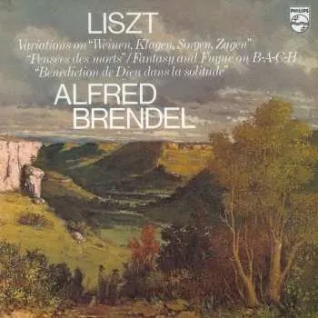 Zahraniční hudba LP Franz Liszt: Variations on "Weinen, Klagen, Sorgen, Zagen" / "Pensées Des Morts" / Fantasy And Fugue on B-A-C-H / "Bénédiction De Dieu Dans La Solitude" DLX 2016 180g Heavyweight Vinyl