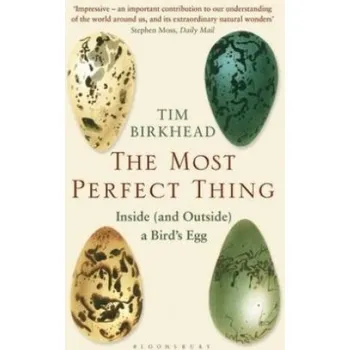 Cizojazyčná kniha Most Perfect Thing (Tim Birkhead)(Brožovaná)