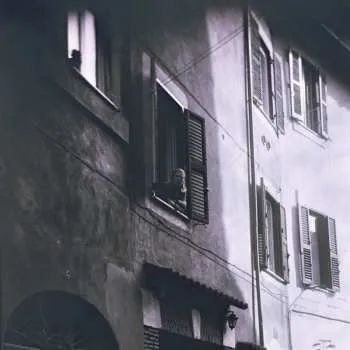 Zahraniční hudba LP Andy C. Jenkins: Since Always 2025