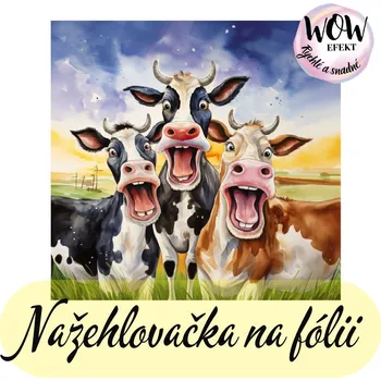 Nažehlovačky na fólii Nažehlovačka na fólii, KRÁVY NA LOUCE, 11,7x12,4 cm /ks