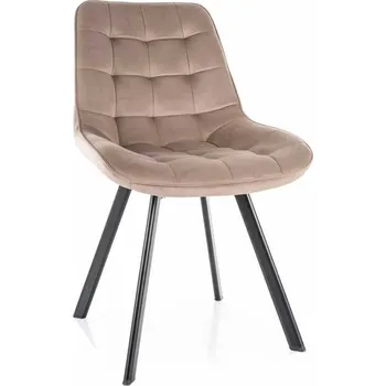 Jídelní židle Jídelní židle Albons Velvet, béžová