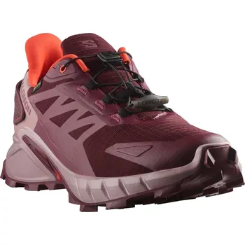 Dámská běžecká obuv Salomon Supercross 4 GTX W L47594500 - tawny port/deauville mauve cherry/tomato 42