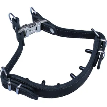 Obojek pro psa BAFPET Kožený obojek pro výcvik Barva: Černá, Rozměr: 30mm x 38-58cm /osten 12mm/ 07186
