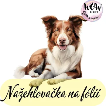 Nažehlovačky na fólii Nažehlovačka na fólii, BORDER KOLIE - hnědobílá, 10,3x10,9 cm /ks