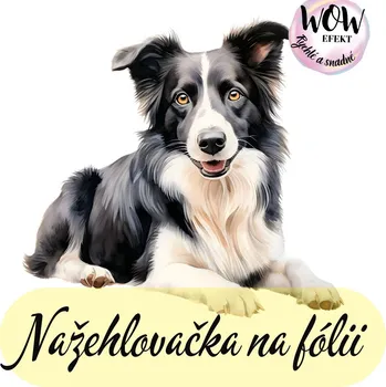 Nažehlovačky na fólii Nažehlovačka na fólii, BORDER KOLIE - černobílá, 8,9x9,9 cm /ks