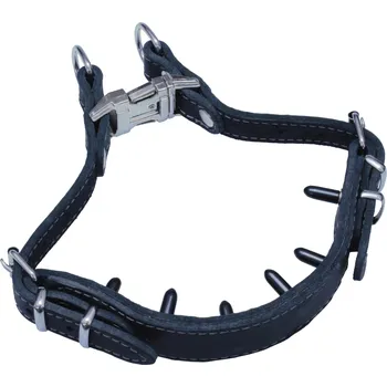 Obojek pro psa BAFPET Kožený obojek pro výcvik Barva: Černá, Rozměr: 30mm x 38-58cm /osten 17mm/ 07187