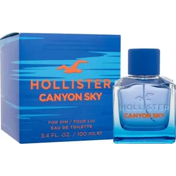 Pánský parfém Hollister Canyon Sky 100 ml toaletní voda pro muže