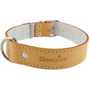 Obojek pro psa Kožený obojek pro psa Champion vel. M/L